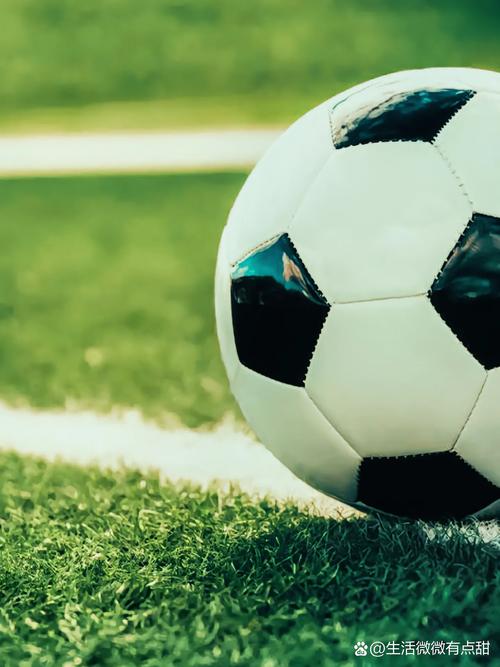 专业分析师使用数据分析工具